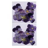 Maxbell 24 Pieces Pressed Violet Real Dried Flowers Embellishments for Craft DIY Nail Art Jewelry Making DIY Pendants Charms