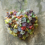Maxbell Retro Iron Shoe&Heart Shape Succulent Pot Metal Hanging Planter Plant Holder
