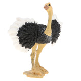 Maxbell 2pcs Simulation Wild Animal Model Figure Toys Figurine Home Decor Ostrich