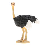 Maxbell 2pcs Simulation Wild Animal Model Figure Toys Figurine Home Decor Ostrich