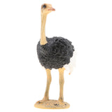 Maxbell 2pcs Simulation Wild Animal Model Figure Toys Figurine Home Decor Ostrich