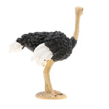 Maxbell 2pcs Simulation Wild Animal Model Figure Toys Figurine Home Decor Ostrich