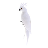 Maxbell 2x Realistic Parrot Artificial Feather Bird Animal Ornament White & Rose Red