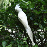 Maxbell 2x Realistic Parrot Artificial Feather Bird Animal Ornament White & Rose Red