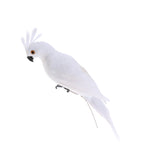 Maxbell 2x Realistic Parrot Artificial Feather Bird Animal Ornament White & Rose Red