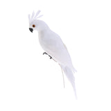 Maxbell 2x Realistic Parrot Artificial Feather Bird Animal Ornament White & Rose Red