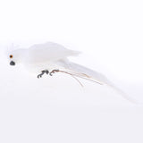 Maxbell 2x Realistic Parrot Artificial Feather Bird Animal Ornament White & Rose Red