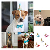 Maxbell 2Pcs Pet 1-Year-Old Birthday Hat Dog Cat Party Crown Cap Bowknot Headwear Accessory Blue & Pink