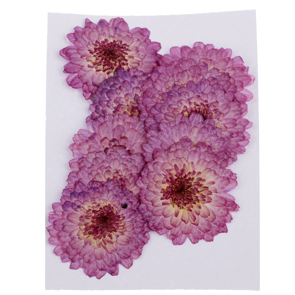 Maxbell Silicone Mould Sphere Ball Molds with Dried Purple Daisy Flowers DIY Resin