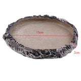 Maxbell 2x Resin Amphibians Reptile Feeding Bowl Water Drinking Dish Tortoise Gecko