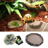 Maxbell 2x Resin Amphibians Reptile Feeding Bowl Water Drinking Dish Tortoise Gecko