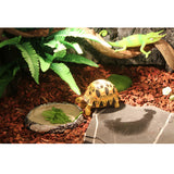 Maxbell 2x Resin Amphibians Reptile Feeding Bowl Water Drinking Dish Tortoise Gecko