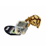 Maxbell 2x Resin Amphibians Reptile Feeding Bowl Water Drinking Dish Tortoise Gecko