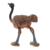 Maxbell Realistic Ostrich Wild Animal Figurine Model Action Figure Kids Toy Gift