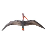 Maxbell Realistic Cretaceous Pteranodon Model Toy Action Figure Kids Zoo Collections