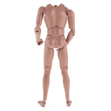 Maxbell 1:6 Scale Action Figure Wide Shoulder Muscular without Neck Body for TTM18 TTM19 Hot Toys