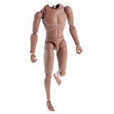 Maxbell 1:6 Scale Action Figure Wide Shoulder Muscular without Neck Body for TTM18 TTM19 Hot Toys