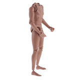 Maxbell 1:6 Scale Action Figure Wide Shoulder Muscular without Neck Body for TTM18 TTM19 Hot Toys