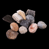 Maxbell 1 Pack Ancient Stone Natural Rocks Mineral Collection for Kids Science Learning Toys Birthday Gif