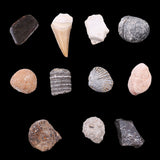 Maxbell 1 Pack Ancient Stone Natural Rocks Mineral Collection for Kids Science Learning Toys Birthday Gif
