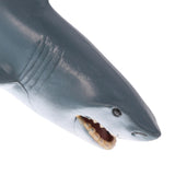 Maxbell Realistic Blue Shark Model Figurine Action Figures Kids Educational Play Fun Toy Gift Collection