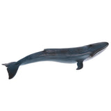 Maxbell Simulation Animal Whale Models Action Figures Kids Educational Toy Gift Home Ornament Collectibles