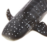 Maxbell Kids Story Telling Animal Figure Showcase Display Model Educational Toy - Whale Shark