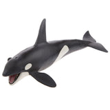 Maxbell Kids Story Telling Animal Figure Showcase Display Model Educational Toy - Killer Whale