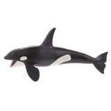 Maxbell Kids Story Telling Animal Figure Showcase Display Model Educational Toy - Killer Whale