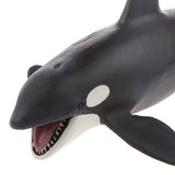 Maxbell Kids Story Telling Animal Figure Showcase Display Model Educational Toy - Killer Whale