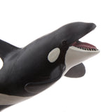 Maxbell Kids Story Telling Animal Figure Showcase Display Model Educational Toy - Killer Whale