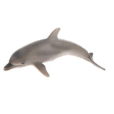 Maxbell Kids Story Telling Animal Figure Showcase Display Model Educational Toy - Dolphin