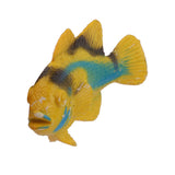 Maxbell Plastic Artificial Angel Fish Animals Toy Model 12pcs Colorful