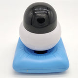 Maxbell Cute Solar Powered Dancing Penguin Figure Bobble Toy Home Desk Decor  B