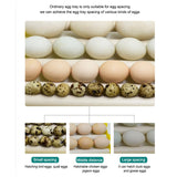 Maxbell Egg Incubator Tray Rotary Automatic Egg Turner for Duck Goose 7 Tubes