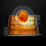 Maxbell 24 Egg Incubator Automatic Digital Farm Duck Chicken Hatcher With Light