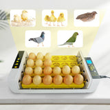 Maxbell 24 Egg Incubator Automatic Digital Farm Duck Chicken Hatcher With Light