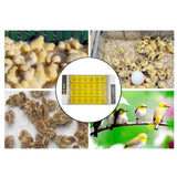 Maxbell 24 Egg Incubator Automatic Digital Farm Duck Chicken Hatcher With Light