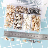 Maxbell 100g Natural Conch Shell Loose Bead DIY Necklace Bracelet Jewelry Findings