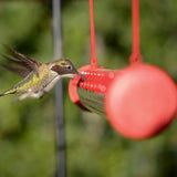 Maxbell Hummingbird Feeder Feeding Pipe for Lanai Garden Outdoors Red_3x40cm