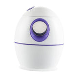 Maxbell 800ml Cool Mist Humidifier Auto Shut-Off Humidifiers with Night Light Purple