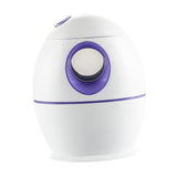 Maxbell 800ml Cool Mist Humidifier Auto Shut-Off Humidifiers with Night Light Purple