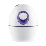 Maxbell 800ml Cool Mist Humidifier Auto Shut-Off Humidifiers with Night Light Purple