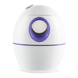 Maxbell 800ml Cool Mist Humidifier Auto Shut-Off Humidifiers with Night Light Purple