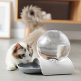 Maxbell Automatic Pets Water Dispenser Cat Feeding Bowl Feeder Grey