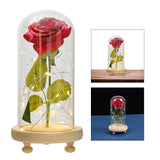 Maxbell Galaxy Rose Flower In Dome Glass LED Night Light Valentines Day Decor Gift