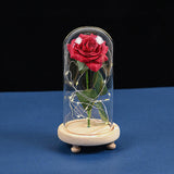 Maxbell Galaxy Rose Flower In Dome Glass LED Night Light Valentines Day Decor Gift