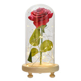 Maxbell Galaxy Rose Flower In Dome Glass LED Night Light Valentines Day Decor Gift