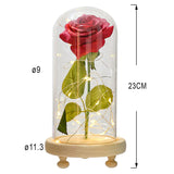 Maxbell Galaxy Rose Flower In Dome Glass LED Night Light Valentines Day Decor Gift