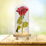 Maxbell Galaxy Rose Flower In Dome Glass LED Night Light Valentines Day Decor Gift